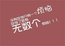 仙踪林rbt
