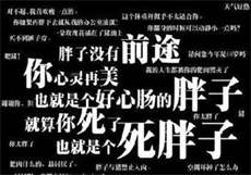 仙踪林豆腐配方
